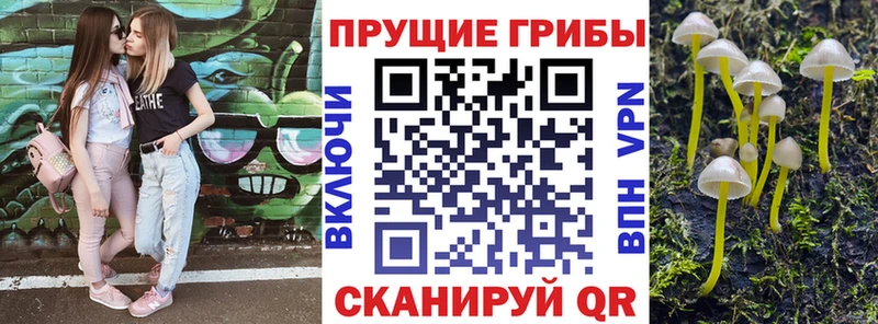 hydra зеркало  Кувандык  Галлюциногенные грибы Psilocybine cubensis  купить закладку 